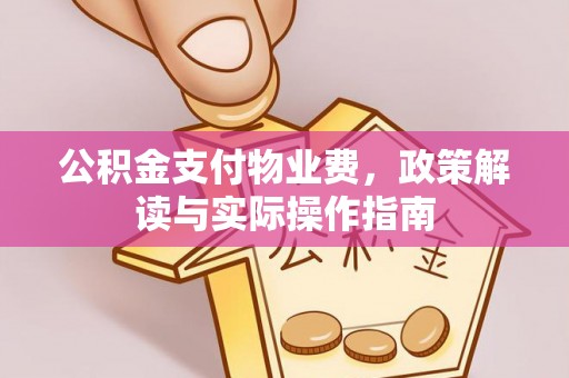 泸溪公积金支付物业费，政策解读与实际操作指南