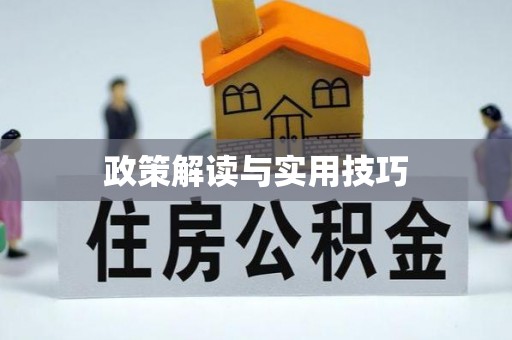 泸溪政策解读与实用技巧