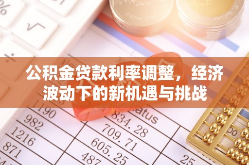 泸溪公积金贷款利率调整，经济波动下的新机遇与挑战