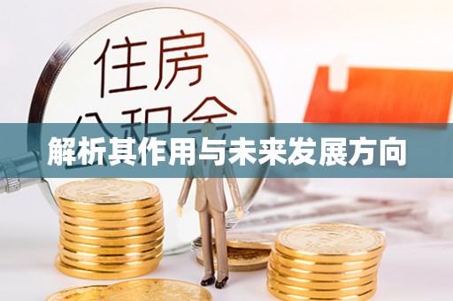 泸溪解析其作用与未来发展方向